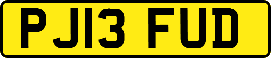 PJ13FUD