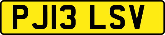 PJ13LSV