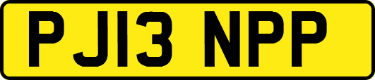 PJ13NPP