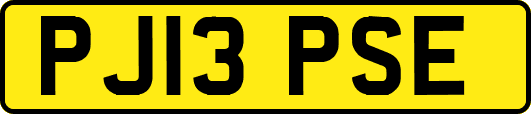 PJ13PSE