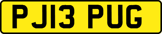 PJ13PUG