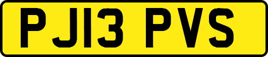 PJ13PVS