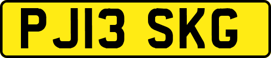 PJ13SKG