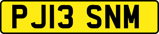 PJ13SNM