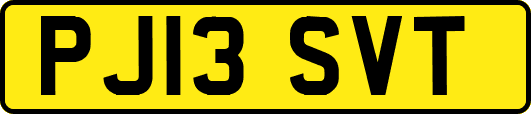 PJ13SVT