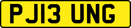 PJ13UNG