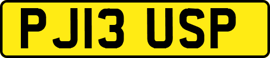 PJ13USP