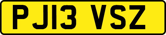 PJ13VSZ