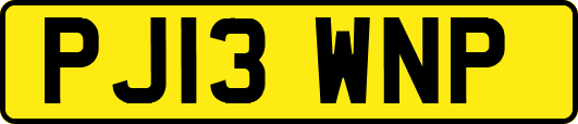 PJ13WNP