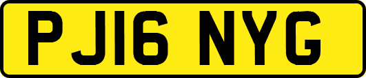 PJ16NYG