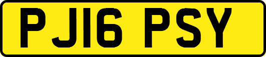 PJ16PSY