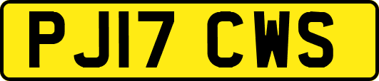 PJ17CWS