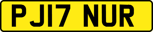 PJ17NUR