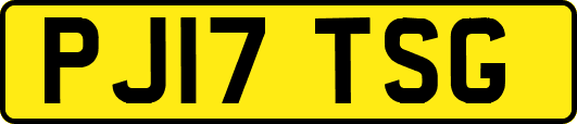 PJ17TSG