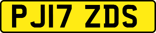PJ17ZDS