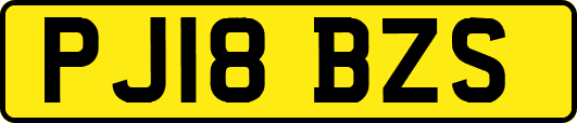 PJ18BZS
