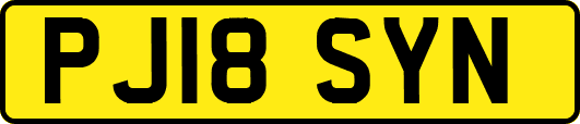 PJ18SYN