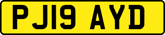 PJ19AYD