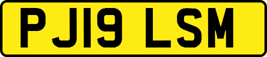 PJ19LSM