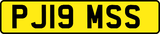 PJ19MSS