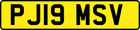 PJ19MSV