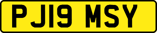 PJ19MSY
