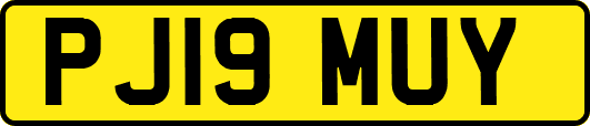 PJ19MUY