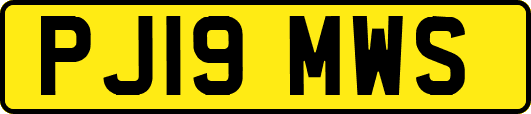 PJ19MWS