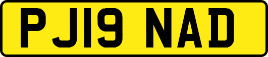 PJ19NAD