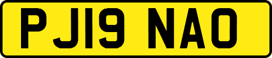 PJ19NAO