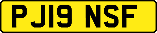 PJ19NSF
