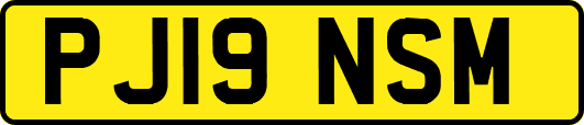 PJ19NSM