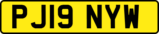 PJ19NYW