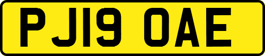 PJ19OAE