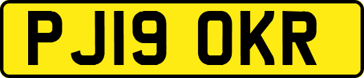 PJ19OKR