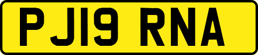 PJ19RNA