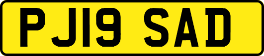 PJ19SAD