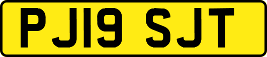 PJ19SJT