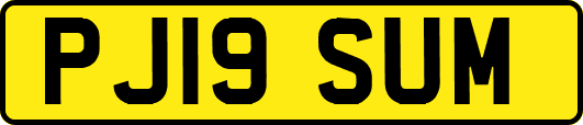 PJ19SUM