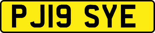PJ19SYE