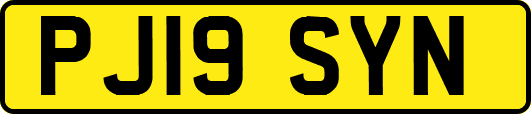 PJ19SYN