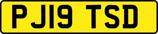 PJ19TSD