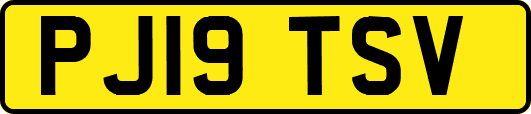 PJ19TSV