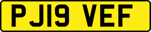 PJ19VEF