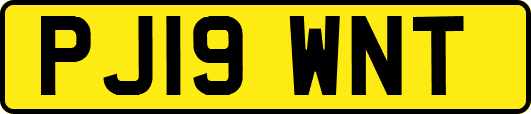 PJ19WNT