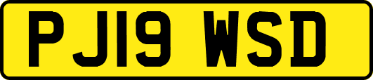 PJ19WSD