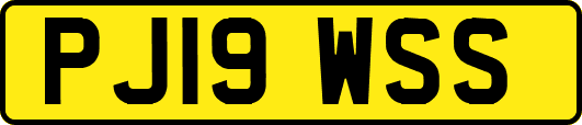 PJ19WSS