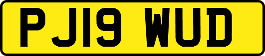 PJ19WUD