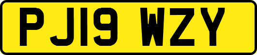 PJ19WZY