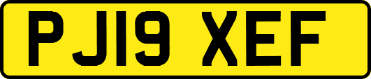 PJ19XEF